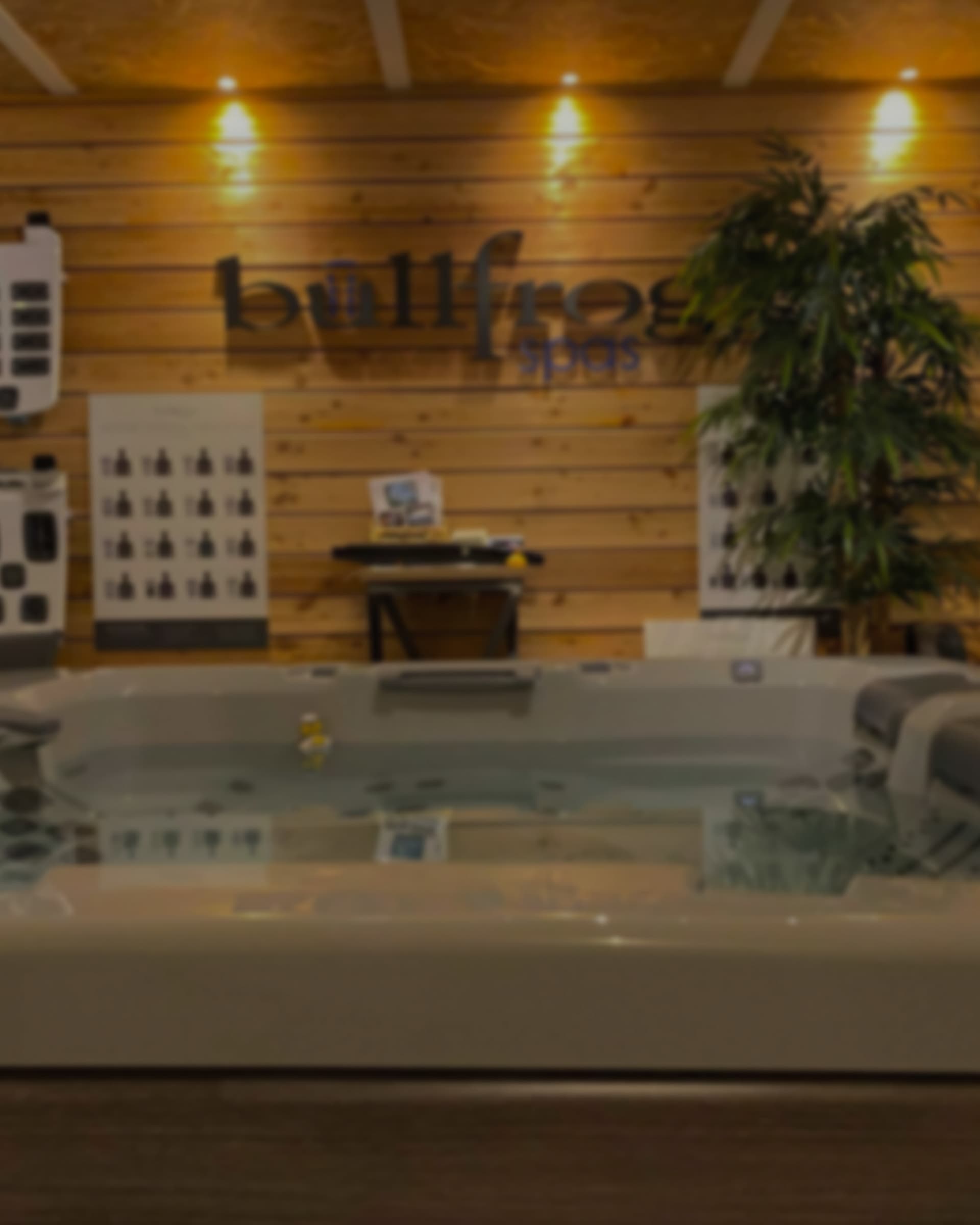 The Bullfrog Spas wall sign above a display spa on a dealership showroom floor.